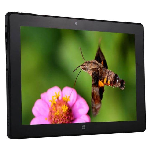 Versatile 10.1 Inch Tablet PC for Daily Computing Tasks showing tablet displaying close-up hummingbird hawk moth over pink flower