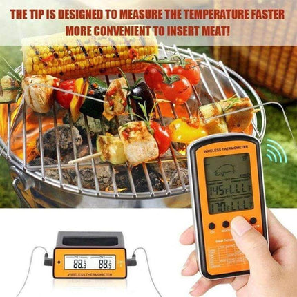 Wireless Remote BBQ Thermometer Dual Probe for Grilling and Roasting showing dual probes monitoring skewers and controller on charcoal grill