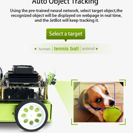 Waveshare JetBot AI Kit for DIY Smart Robot Projects demonstrating auto object tracking with Jetson Nano recognizing a tennis ball and dog