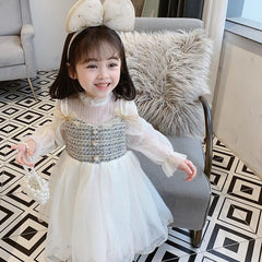 Cute Pastoral Long Sleeve Mesh Dress for Girls