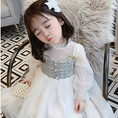 Cute Pastoral Long Sleeve Mesh Dress for Girls