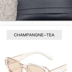 Champagne / With glasses bag