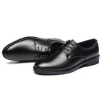 Black / 37