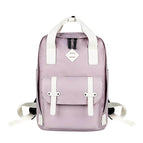 13 inch-15.6 inch / Light Purple