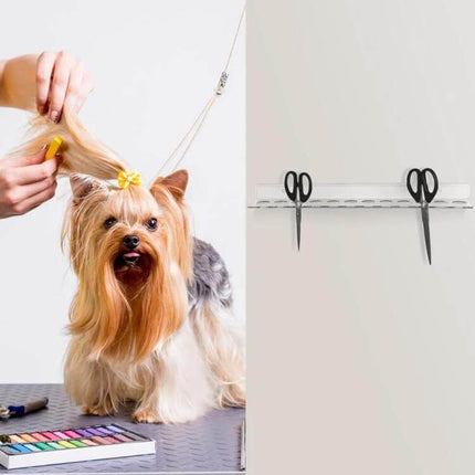 YX162 Acrylic Scissors Wall Mount Bracket 12 Hole Organizer mounted on wall holding scissors beside a groomed Yorkshire terrier