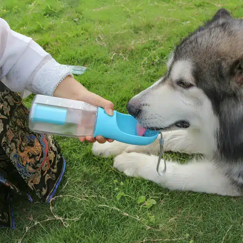 3-in-1 Leak-Proof Travel Bottle & Feeder for Pets 3 A Person Offering A Blue Water Bottle To A Dog, With The Dog Drinking From It In A Grassy Area.