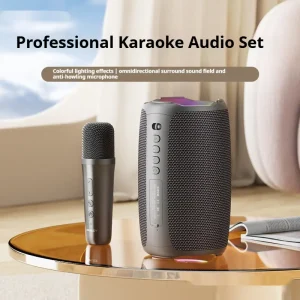 Professional karaoke audio set with a microphone and speaker featuring colorful lighting effects and sound controls.