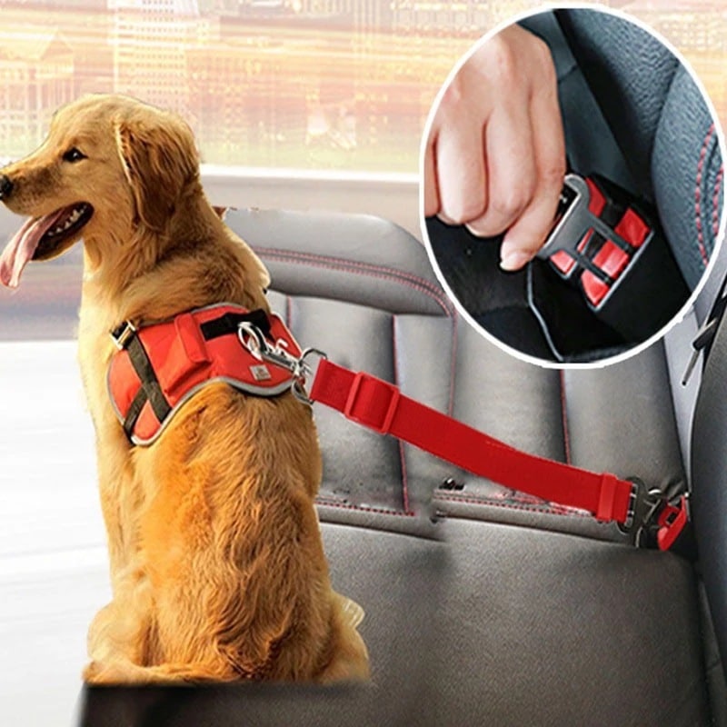 Adjustable Pet Car Seat Belt - Safety Harness for Dogs - Travel Securely & Safely 2 1618642315250 1.Jpg