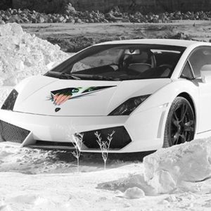 3D Horrible Style Car Paper Sticker - Realistic Digital Design