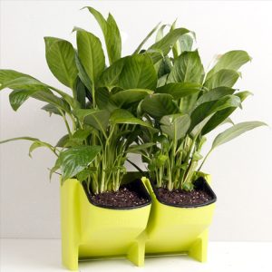 Modern Stackable Wall-Mounted Planters | Lightweight Durable PP Resin