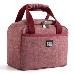 Insulated Bento Bag - Convenient Lunch Kit for Kids - Keeps Food Fresh & Tasty