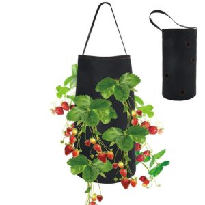 Strawberry Plant in Hanging Felt Bag - Easy Planting Solution