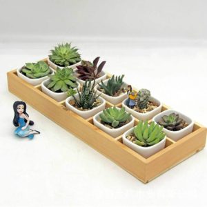 Succulent Garden Wooden Box - Elevate Your Landscape with Stylish Storage