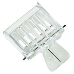 Bee King Cage Set - Effortlessly Secure Your Bees, 2 PCS Plastic Beekeeping Tool