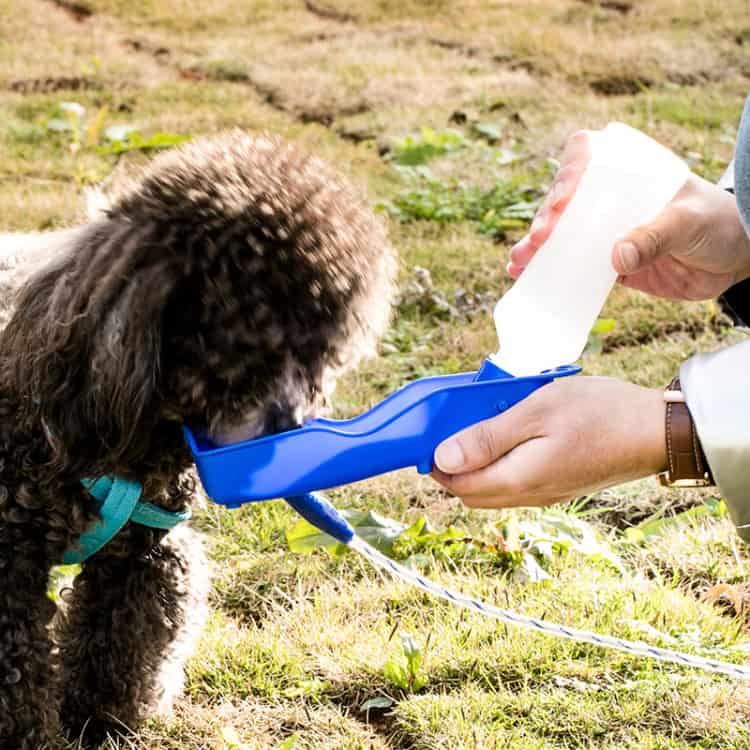 250ml Portable Outdoor Dog Water Bottle - Random Color - Stay Hydrated On-The-Go 6 250Ml Portable Outdoor Dog Water Bottle - Random Color - Stay Hydrated On-The-Go - Image 6