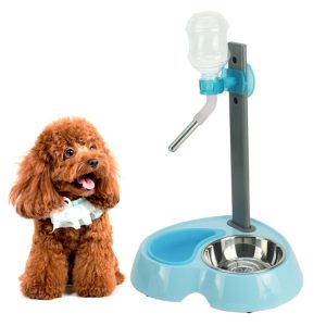 Modern pet water dispenser with a stainless steel bowl and an easy-to-use water upload mechanism for dogs and cats.