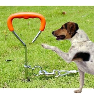 45cm Spiral Dog Training Nail for Medium/Small Dogs - Outdoor Handling