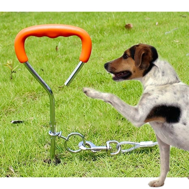 45cm Spiral Dog Training Nail for Medium/Small Dogs - Outdoor Handling 1 45Cm Spiral Dog Training Nail For Medium/Small Dogs - Outdoor Handling