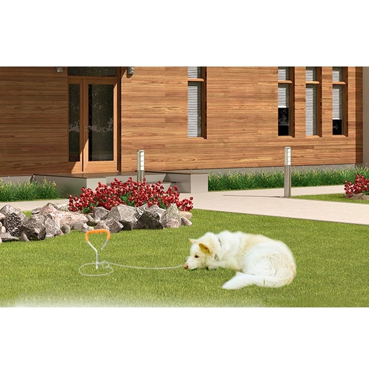 45cm Spiral Dog Training Nail for Medium/Small Dogs - Outdoor Handling 7 45Cm Spiral Dog Training Nail For Medium/Small Dogs - Outdoor Handling - Image 7