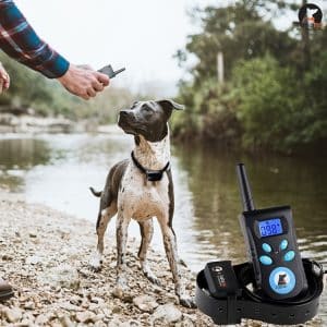 Ultimate Anti-Bark Dog Training Collar with Electric Shock Technology