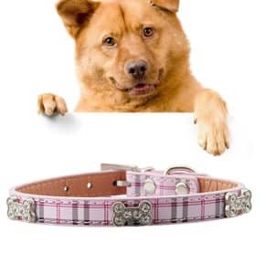 Stylish Large PU Leather Dog Collar - Bone Design, 2.5 x 51cm