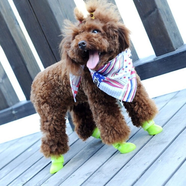 Stylish Waterproof Dog Shoes, Candy Color Rain Boots, Rubber - Size M 6 Stylish Waterproof Dog Shoes, Candy Color Rain Boots, Rubber - Size M - Image 6