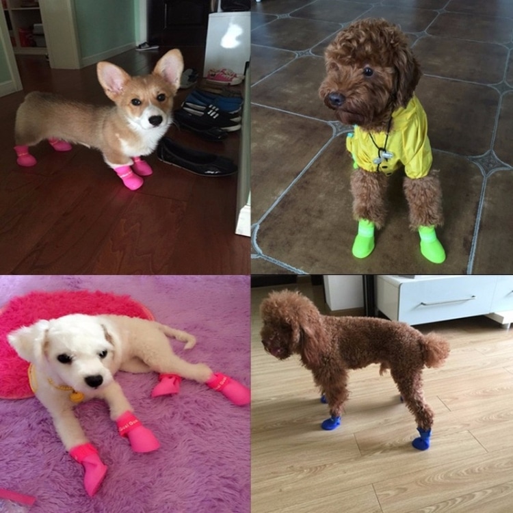 Stylish Waterproof Dog Shoes, Candy Color Rain Boots, Rubber - Size M 9 Stylish Waterproof Dog Shoes, Candy Color Rain Boots, Rubber - Size M - Image 9