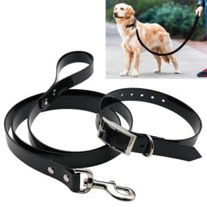 TPU Telescopic Dog Leash & Collar Set - Size S, 120cm Rope, 40cm Collar