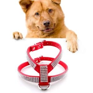 Sparkling Glamour: Medium Luxury Rhinestone Dog Harness & Leash Set
