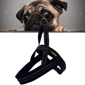 Safe & Stylish Small Dog Reflective Harness Leash (S, 2.0*50*62cm)