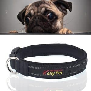 Stay Safe Reflective Dog Collar Leash Set - L Size, Breathable Polyester