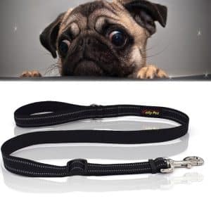 Safe & Stylish Small Reflective Nylon Dog Leash - Adjustable Size S, Night Visibility