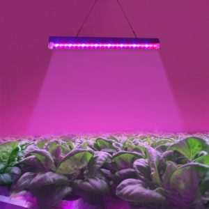 Plant Growth Light 15 LEDs Red + Blue 4.8W for Greenhouse, Aquarium - T5