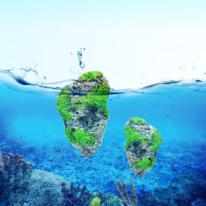 Beautiful Aquarium Floating Pumice Stone Ornament - 8.7 x 14.3cm