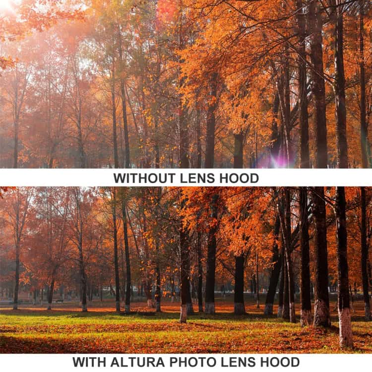Canon EF 28-200mm Lens Hood - Enhanced Sun Glare Defense for Crisp Photos 5 Forest Scene In Autumn With Vibrant Orange Leaves During Daytime, No Lens Hood Used Versus With Altura Photo Lens Hood, Showing Enhanced Clarity And Color Preservation, Ideal For Outdoor Photography Enthusiasts Relevance: Highly Relevant For Photographers Seeking Lens Hood Accessories.
