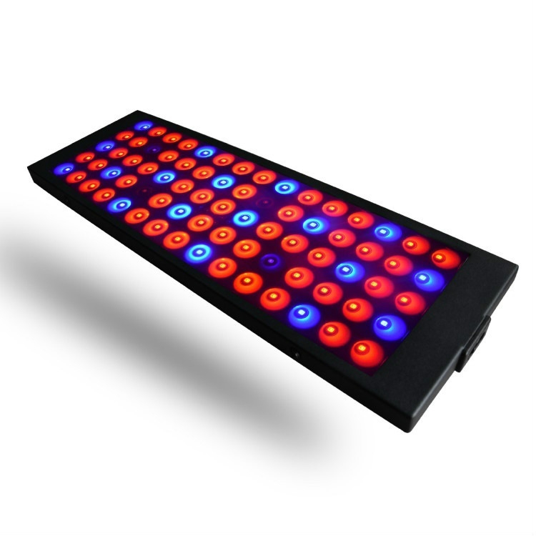 Ultra-thin 0.3M 40W Plant Growth Light - Boost Your Plant's Health! 2 Ultra-Thin 0.3M 40W Plant Growth Light - Boost Your Plant'S Health! - Image 2