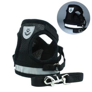 Black mesh dog harness with reflective strip and attached leash.
