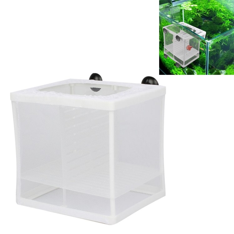 Compact Fish Breeding Isolation Tank • Ideal for Tropical Fish Care 1 Compact Fish Breeding Isolation Tank • Ideal For Tropical Fish Care