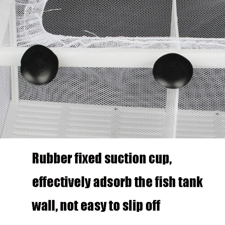 Compact Fish Breeding Isolation Tank • Ideal for Tropical Fish Care 5 Compact Fish Breeding Isolation Tank • Ideal For Tropical Fish Care - Image 5