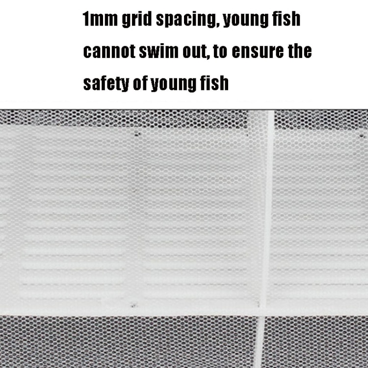 Compact Fish Breeding Isolation Tank • Ideal for Tropical Fish Care 6 Compact Fish Breeding Isolation Tank • Ideal For Tropical Fish Care - Image 6