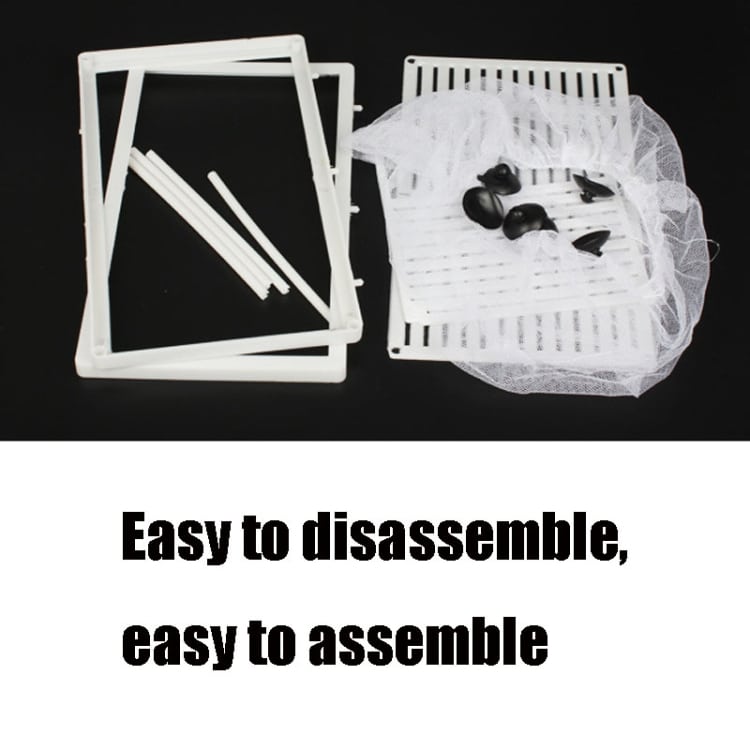 Compact Fish Breeding Isolation Tank • Ideal for Tropical Fish Care 7 Compact Fish Breeding Isolation Tank • Ideal For Tropical Fish Care - Image 7