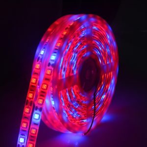 5m 300 LEDs SMD 5050 Full Spectrum Grow Light Strip for Greenhouse & Hydroponic