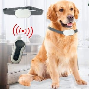Waterproof Stop Barking Training Collar - Rechargeable Remote Control