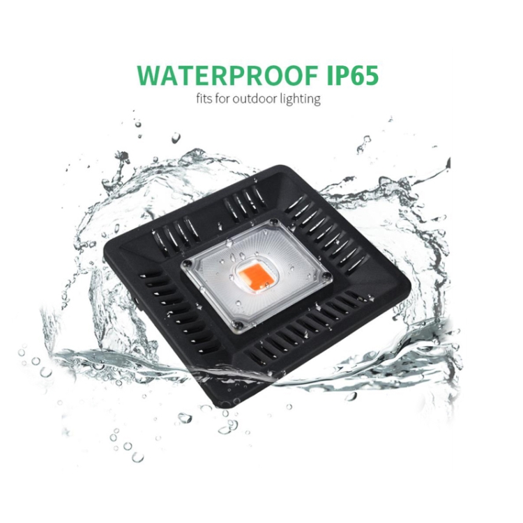 Ultra-Thin Full Spectrum LED Plant Light for Greenhouse Growth - Plug-In 4 Ultra-Thin Full Spectrum Led Plant Light For Greenhouse Growth - Plug-In - Image 4