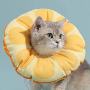 Adjustable Anti-Licking Elizabeth Collar Set for Kittens - Prevent Cat Scratching