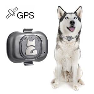 Smart GPS Tracker Collar: G16 Anti-lost IP67 Waterproof for Dog Cat