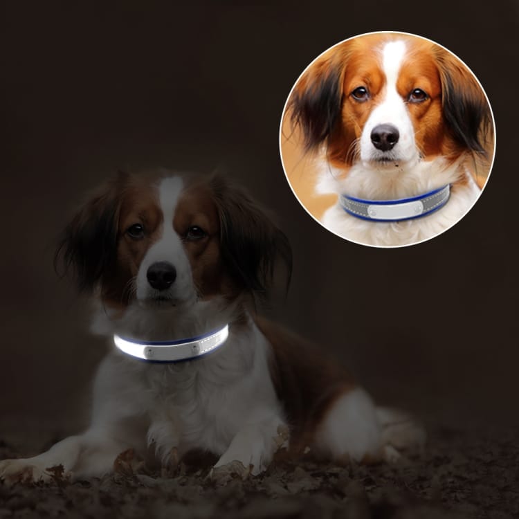 Pet Safe & Stylish: Reflective Soft Collar for Beloved Companion 4 Pet Safe &Amp; Stylish: Reflective Soft Collar For Beloved Companion - Image 4