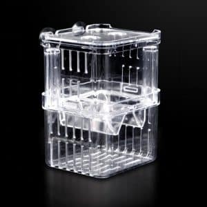 Transparent plastic storage container with a lid and ventilation holes.