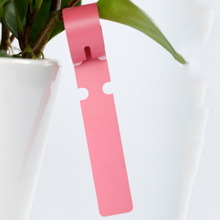 100PCS Plant Labels - Easy Identification for Your Saplings! 3 100Pcs Plant Labels - Easy Identification For Your Saplings! - Image 3