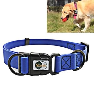 Blue adjustable dog collar with secure buckle and D-rings for pet identification and control, ideal for medium to large dogs. Perfect for outdoor walks and training sessions.